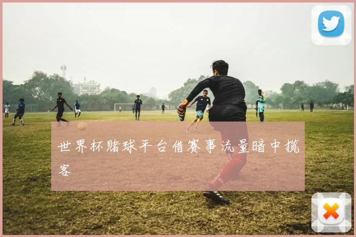 世界杯赌球平台借赛事流量暗中揽客