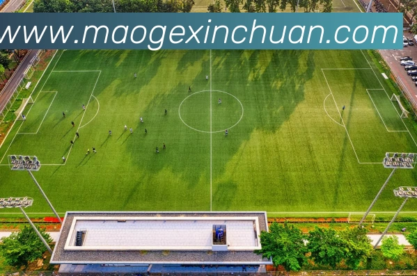 熊猫体育「中国」官方网站 - 快乐运动,智慧健身服务体系